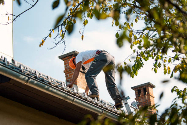 Quick and Trustworthy Emergency Roof Repair Services in Wheaton, MD